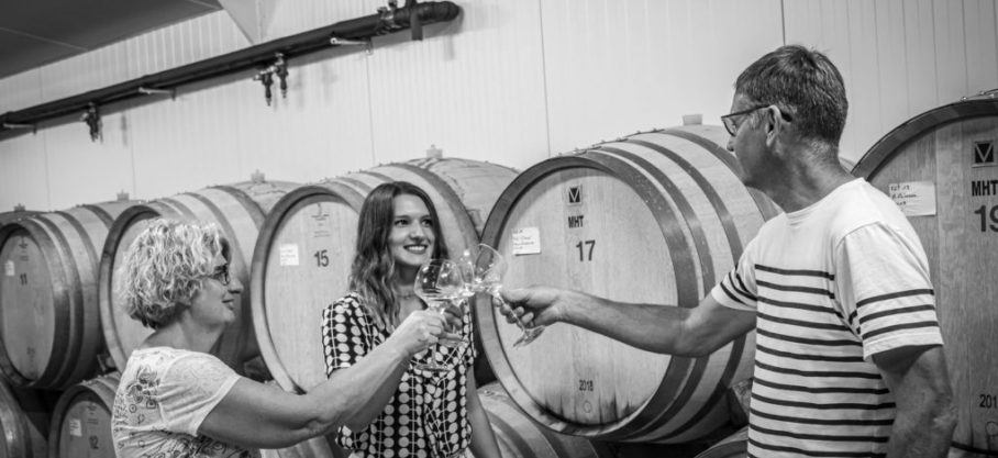 Domaine les Vignes d'Adélie