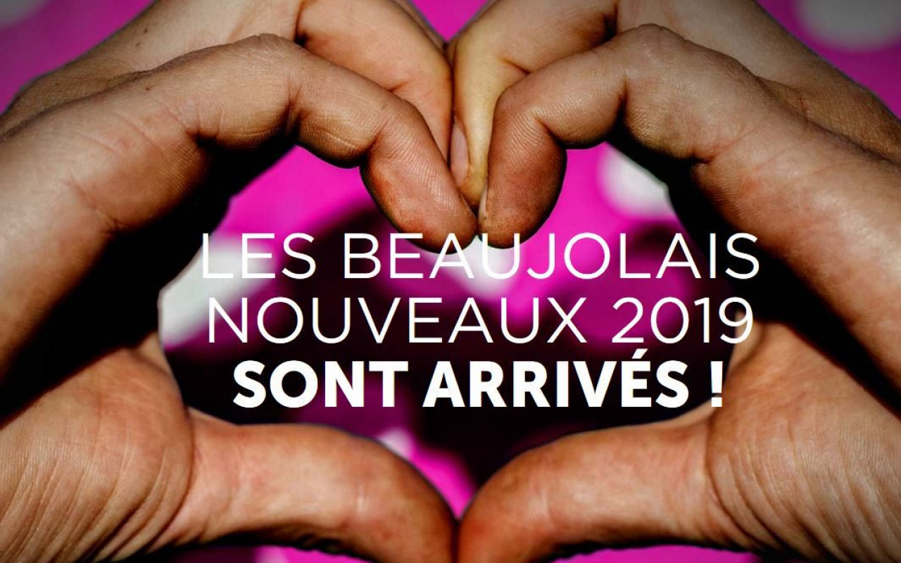 Beaujolais Nouveau 2019 / Good comments by Burgundy Report