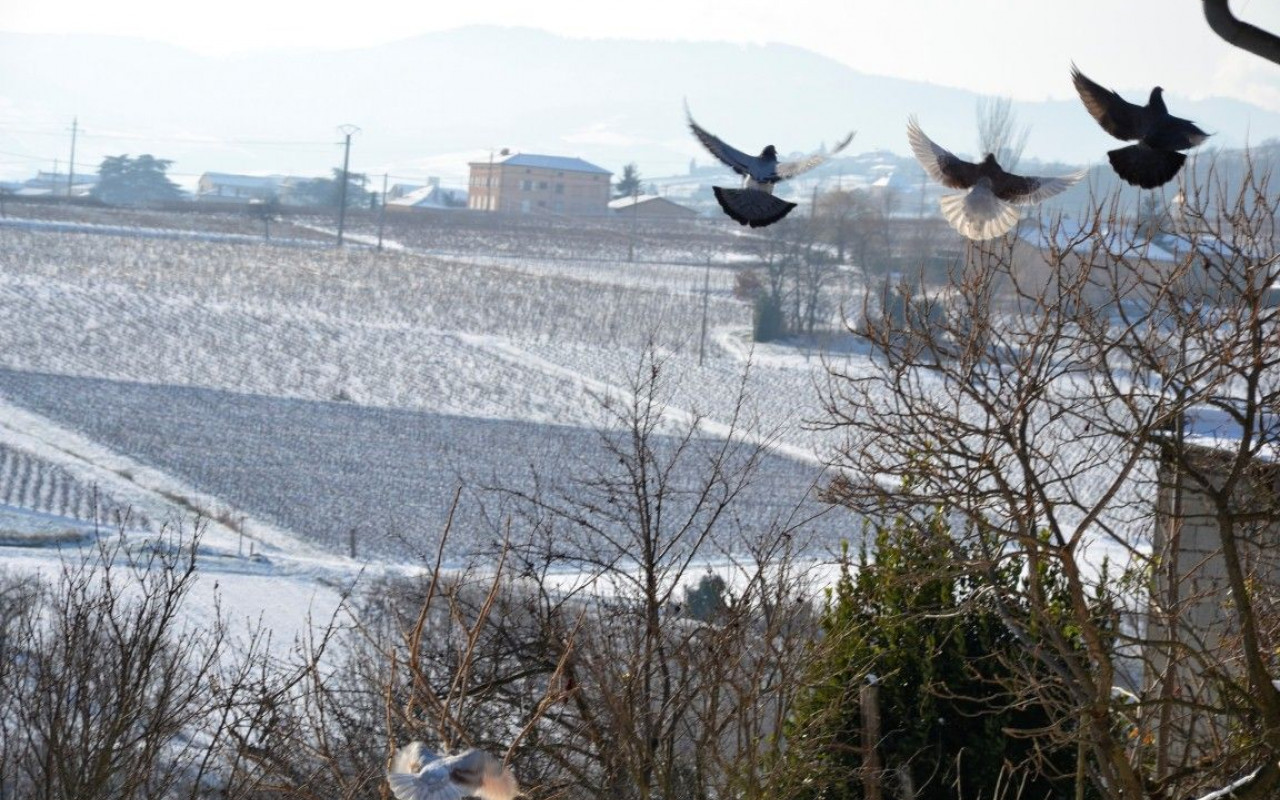 Des allures de mini chaîne des Alpes...