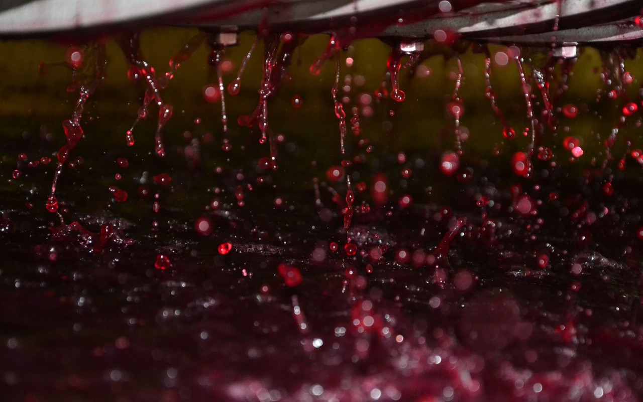 2015 : Unique and Exceptional !