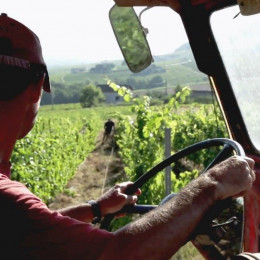 Le BEAUJOLAIS comme vous ne l’avez jamais vu