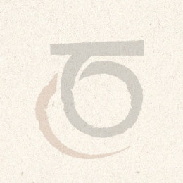 Interview de Robert PERROUD par un journaliste US