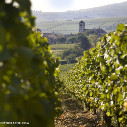 Rendez-vous au domaine !