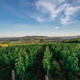 Les terroirs s'agrandissent