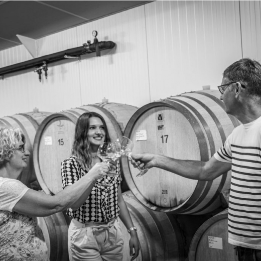 Domaine les Vignes d'Adélie