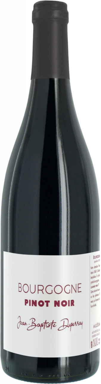 Bourgogne Rouge - Pinot Noir - Jean-Baptiste Duperray