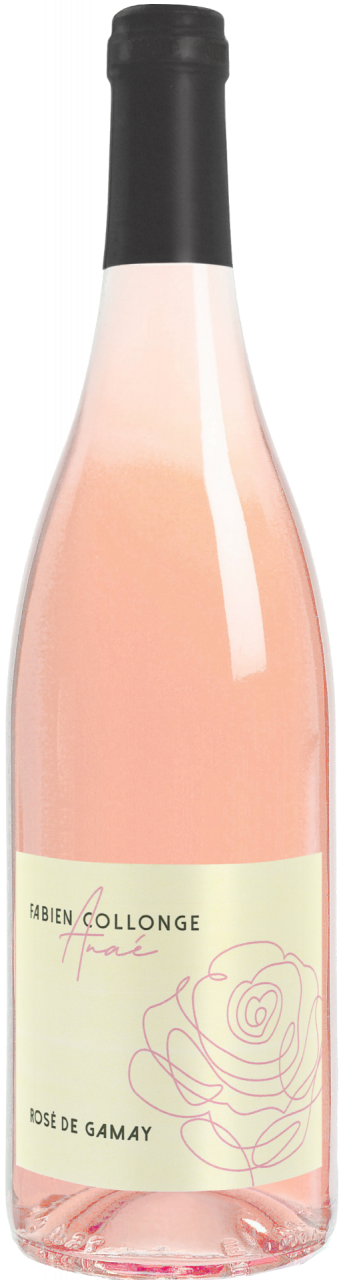 Beaujolais Rosé - Rosé de Gamay - Fabien Collonge