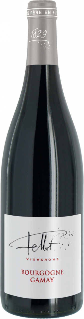 Bourgogne Gamay - Emmanuel Fellot