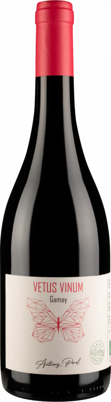 Beaujolais - Vetus Vinum - Anthony Perol