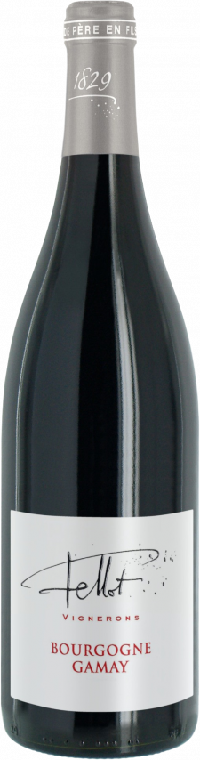Bourgogne Gamay - Emmanuel Fellot - Terroirs Originels