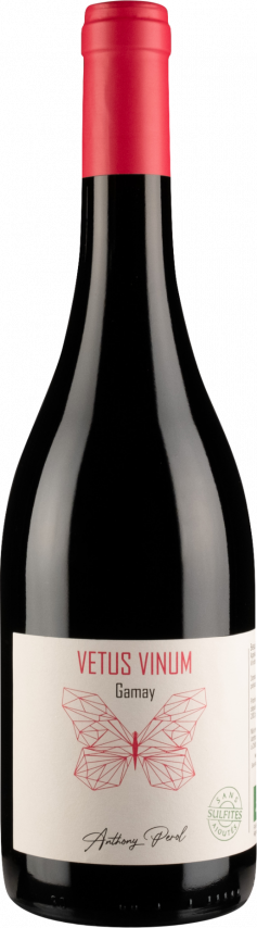 Beaujolais - Vetus Vinum - Anthony Perol - Terroirs Originels